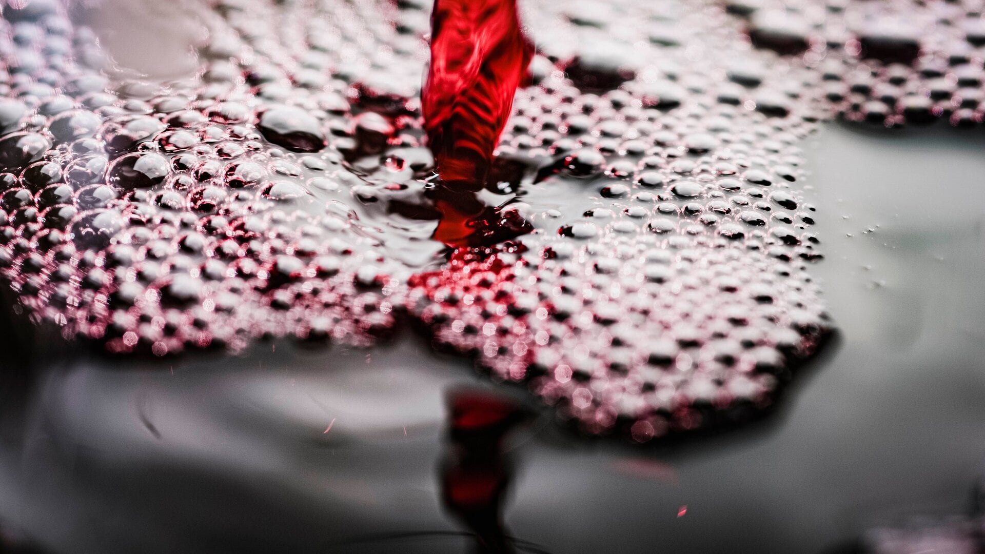 Kopfschmerzen-von-Rotwein-Schuld-ist-dieser-Pflanzenstoff