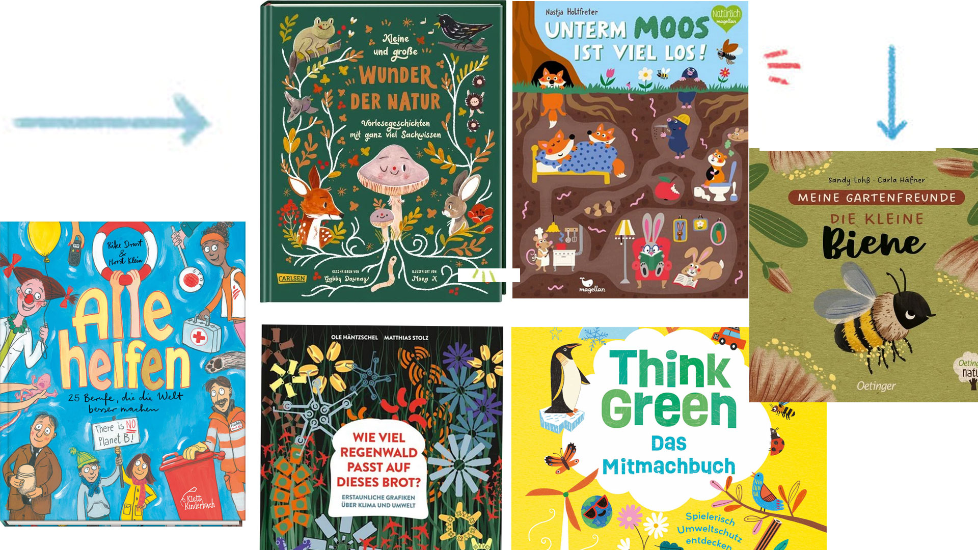 Nikolausgeschenk-gesucht-Die-sch-nsten-Kinder-und-Jugendb-cher-zum-Thema-Natur-und-Umweltschutz