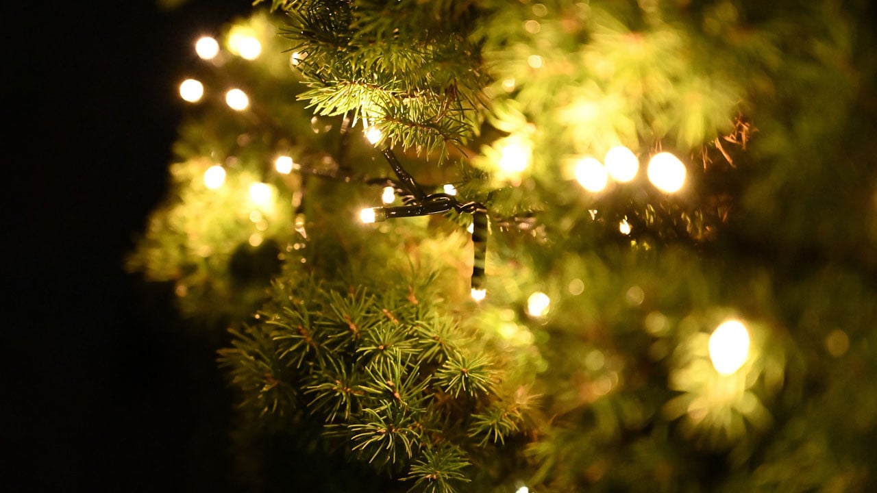 Lichterkette-Eine-Farbe-verbraucht-besonders-viel-Energie