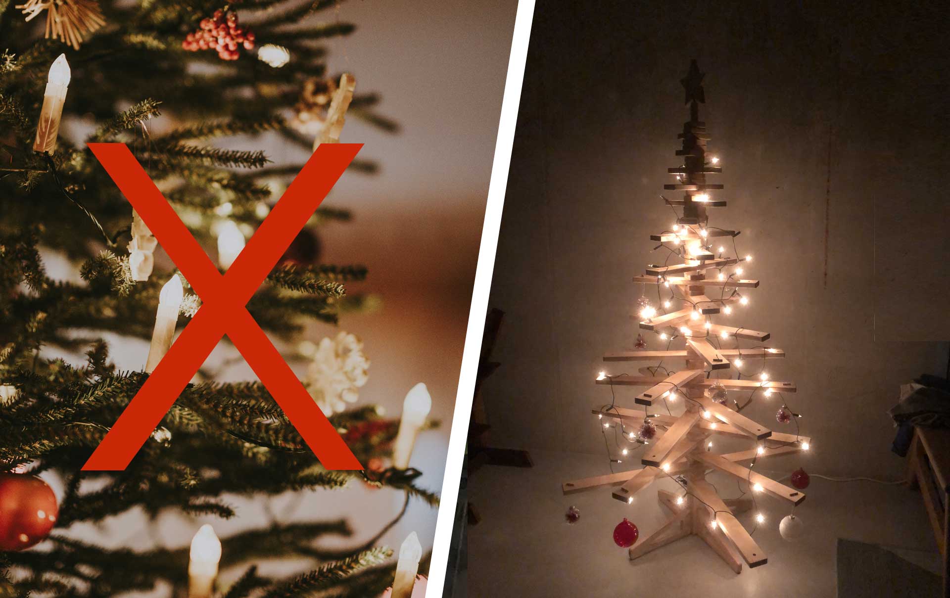 3-Weihnachtsbaum-Alternativen-im-Selbstversuch-Wird-s-auch-ohne-Tanne-festlich-