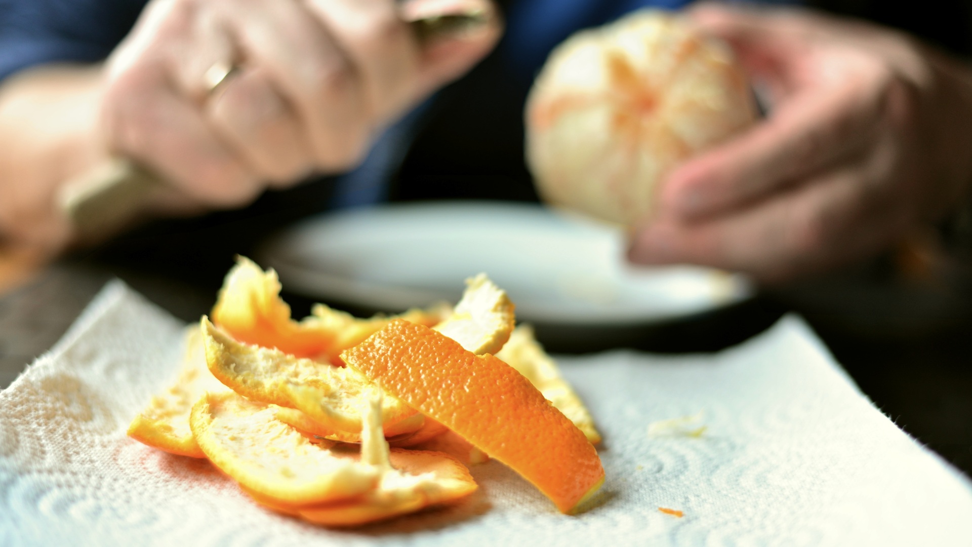 Biomüll oder Kompost: Wohin mit Zitronen- und Orangenschalen?