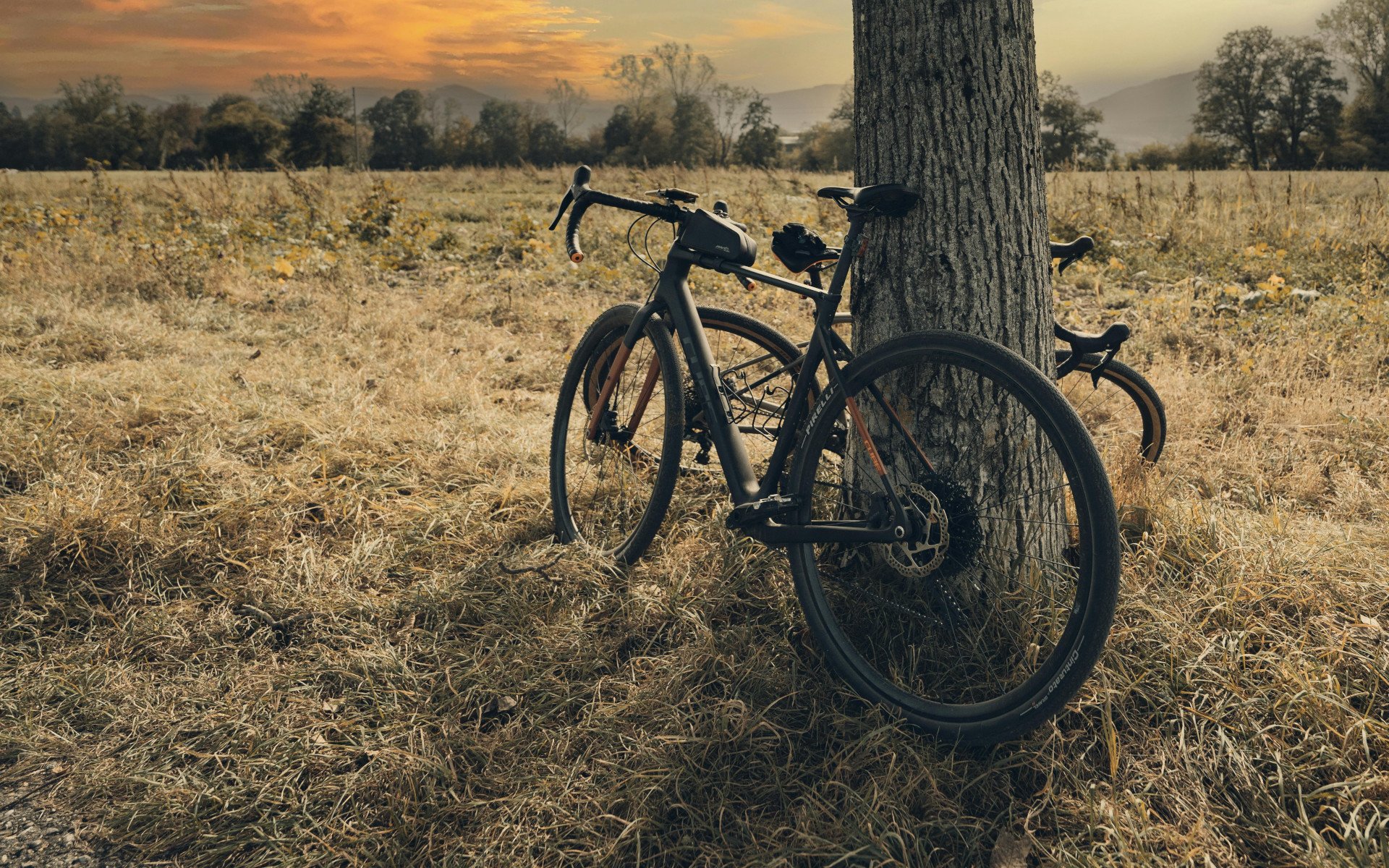 Rennrad, Mountainbike, Gravelbike? Wie du entscheidest, welches Fahrrad wirklich zu dir passt