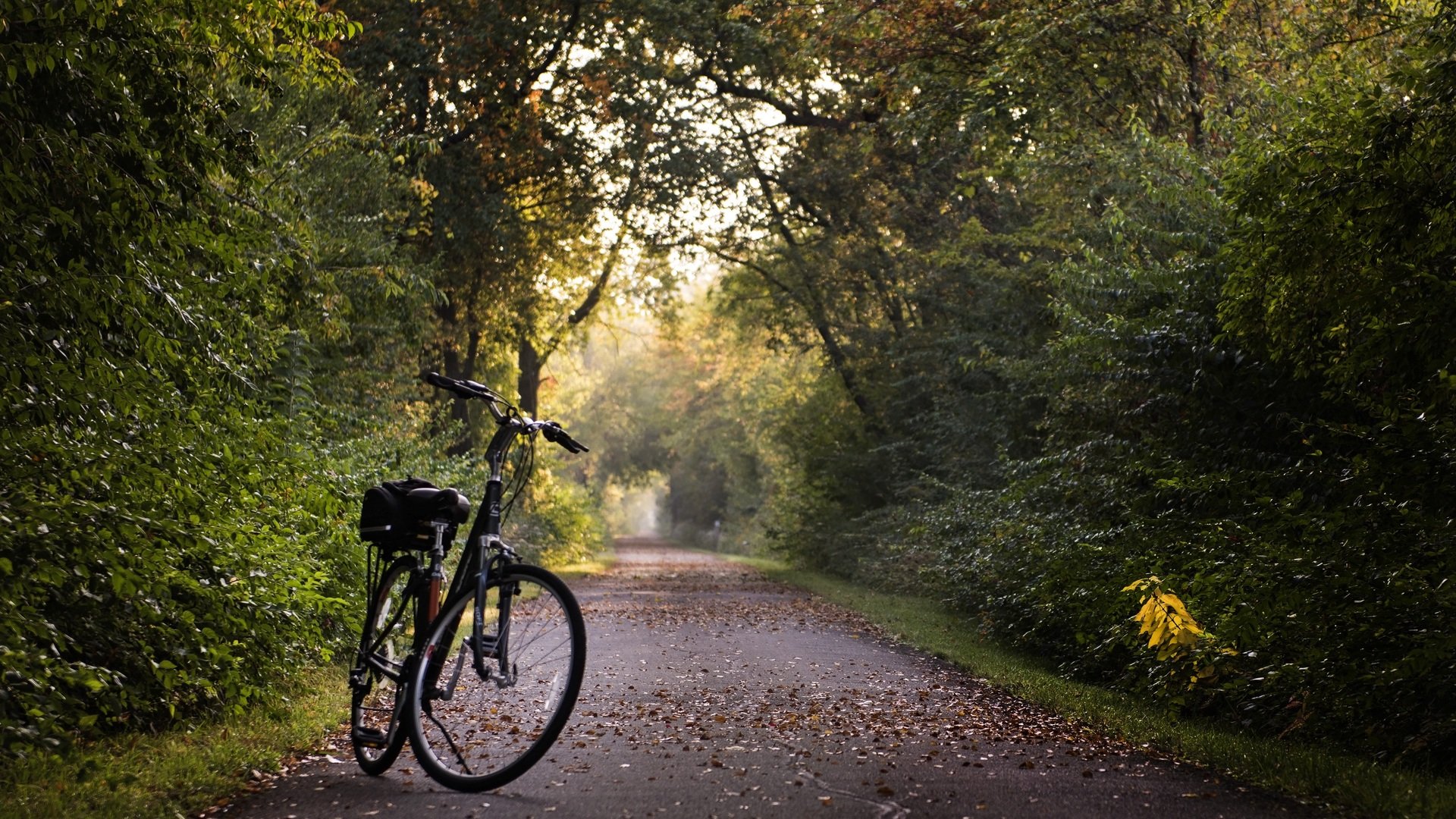 Route für deinen Fahrradurlaub 2025: ADFC zeichnet 3 neue Qualitätsrouten aus