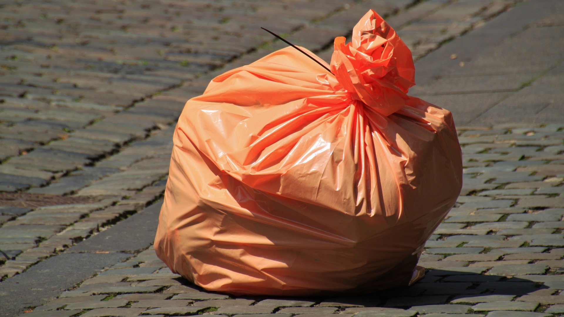 Darf Müll ohne Beutel in die Tonne? - Utopia.de