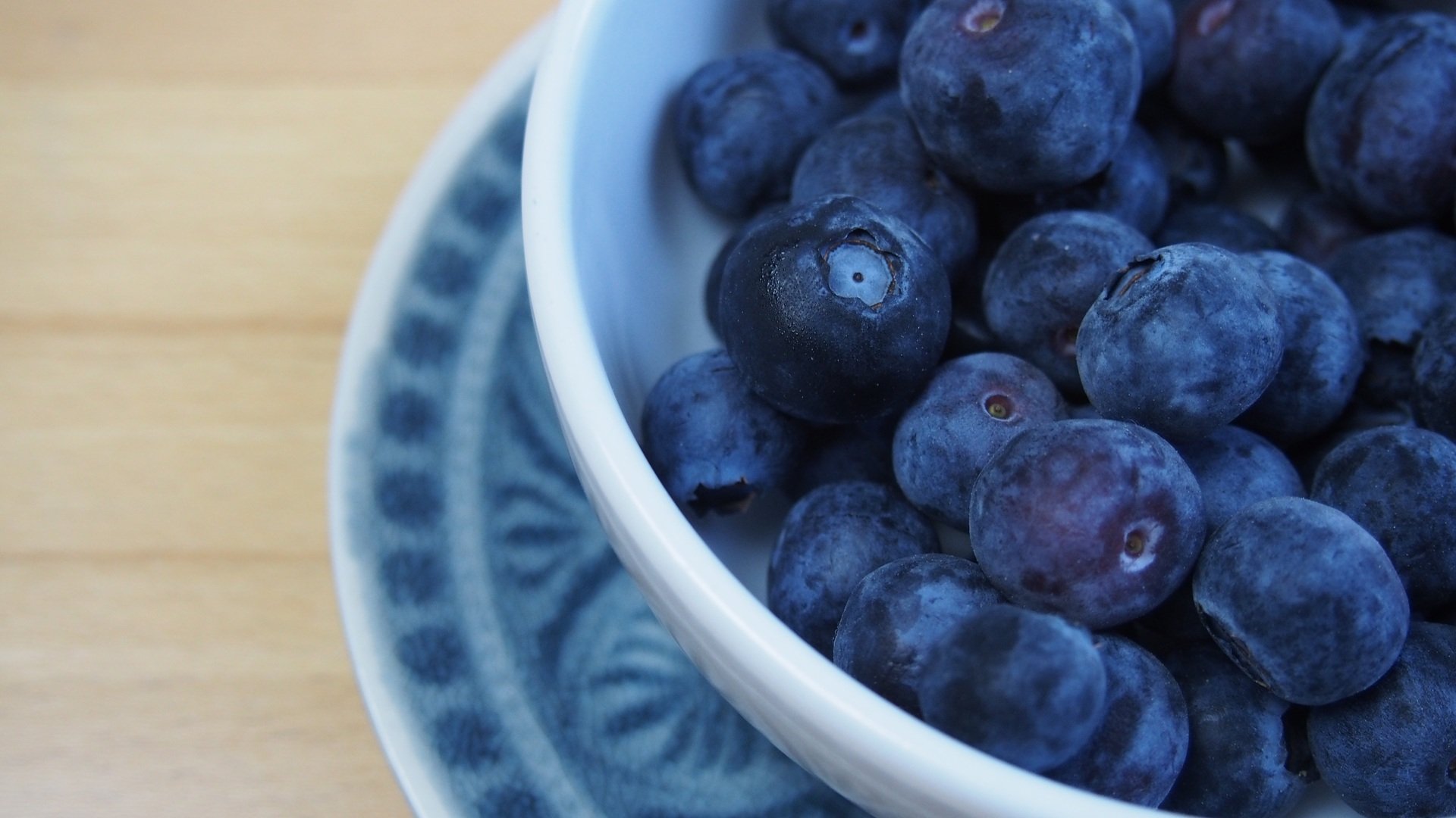 So-w-schst-du-Blaubeeren-richtig