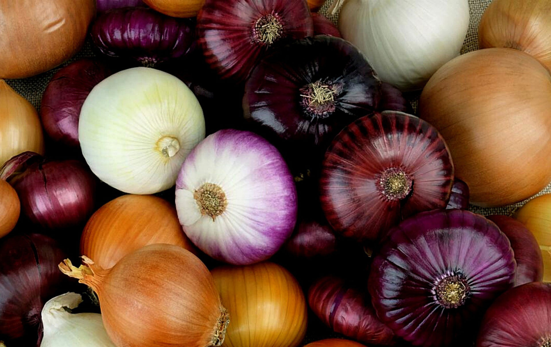 Rote-gelbe-oder-wei-e-Zwiebeln-Welche-sind-am-ges-ndesten-