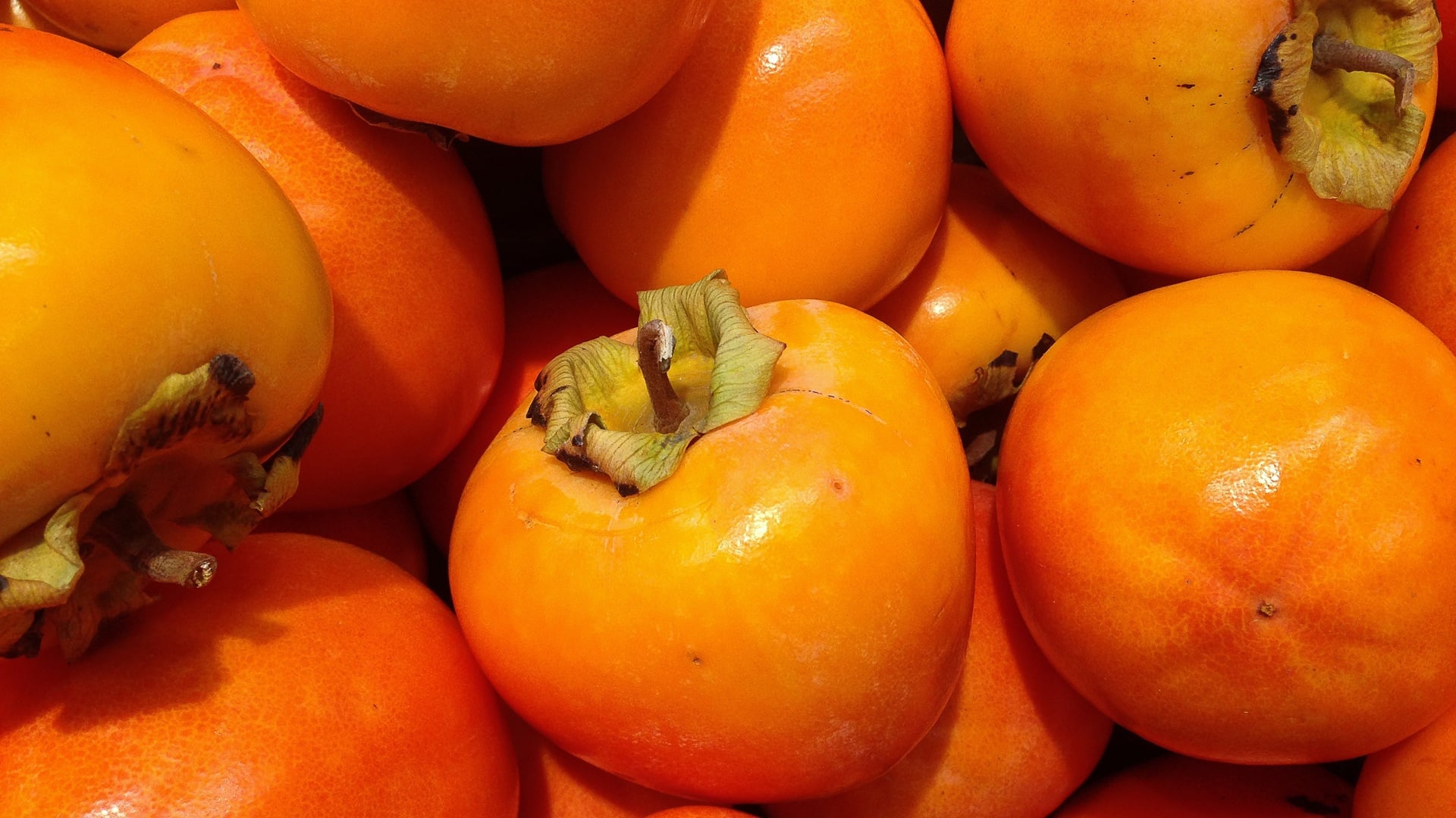 Kaki-Sharonfrucht-Persimone-Das-sind-die-Unterschiede