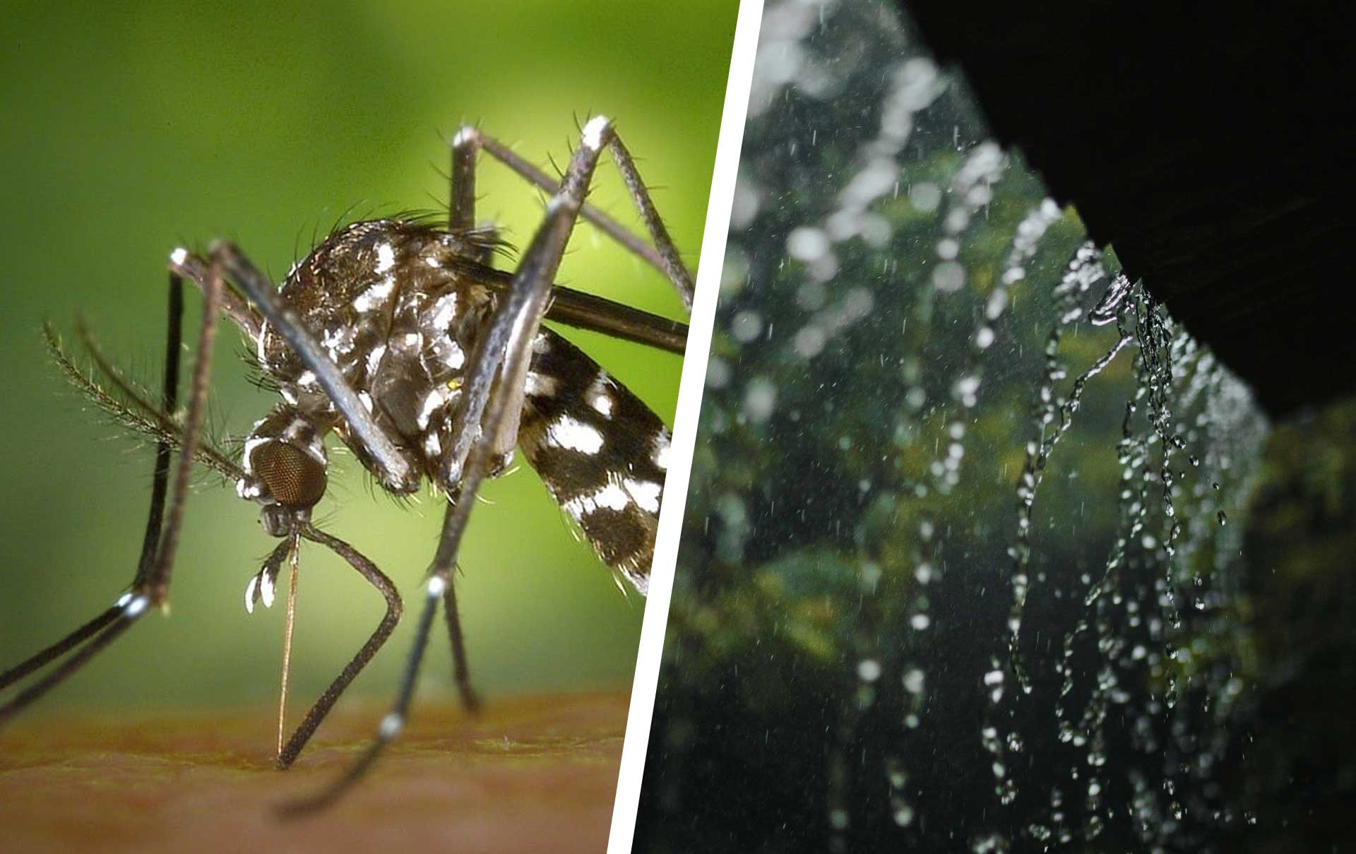 Vorbereitung-statt-Panik-So-r-stest-du-dich-f-r-die-Klimakrise-7-Tipps