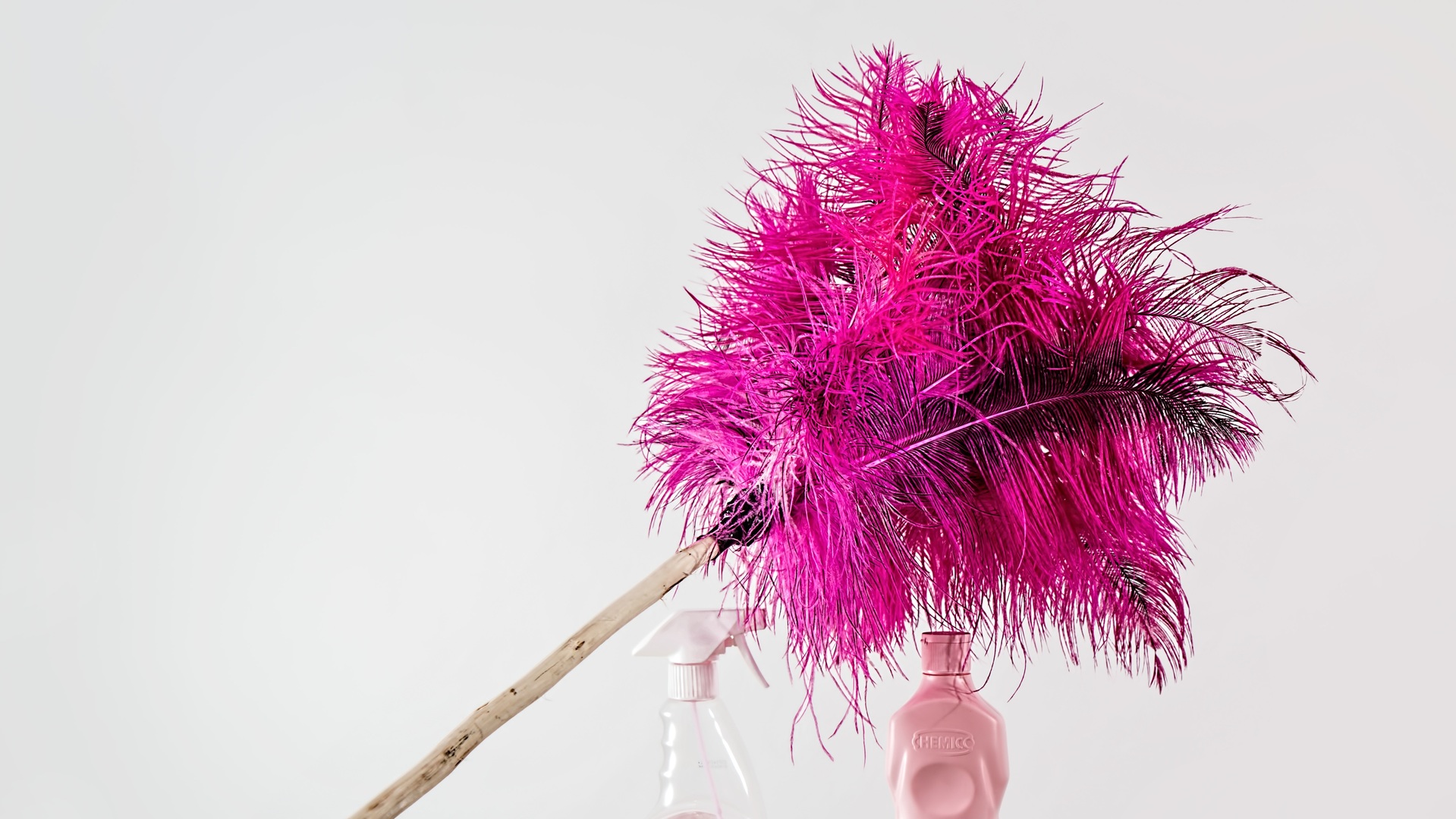 Staubwedel-waschen-Diese-4-Tipps-solltest-du-kennen