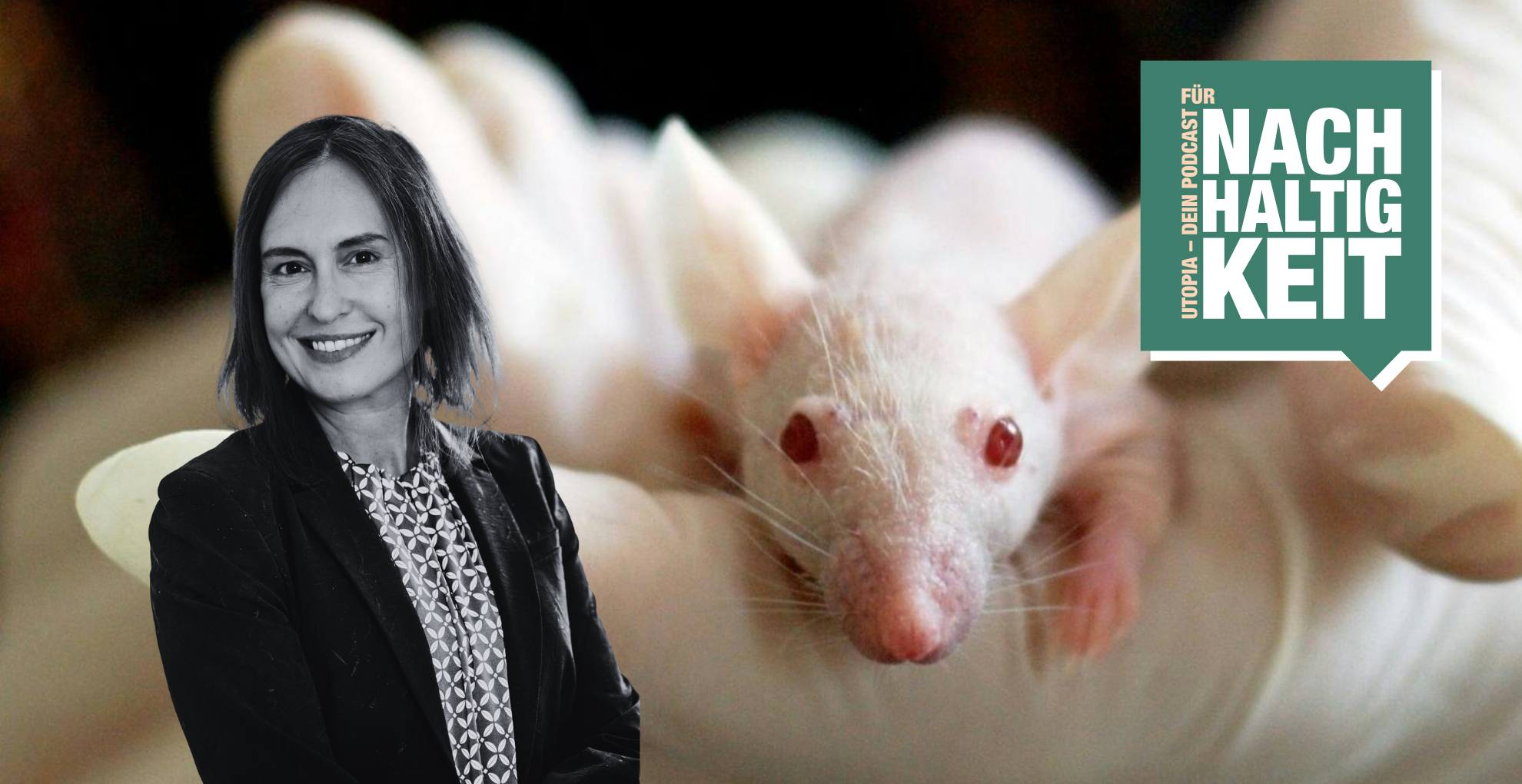 -Tierversuche-sind-nicht-gut-genug-um-uns-abzusichern-Biochemikerin-ber-bessere-Alternativen