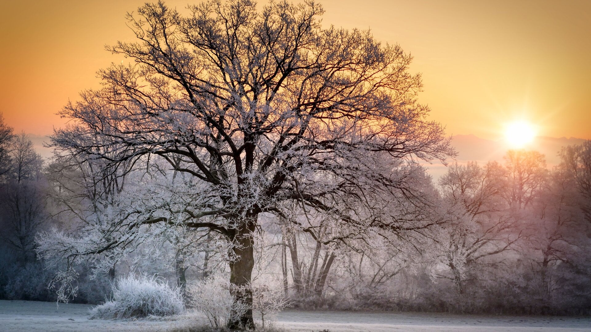 Genug-Sonne-tanken-im-Winter-Das-kannst-du-beachten