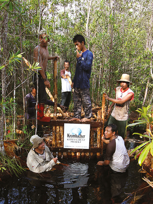Krombacher Klimaschutz Borneo