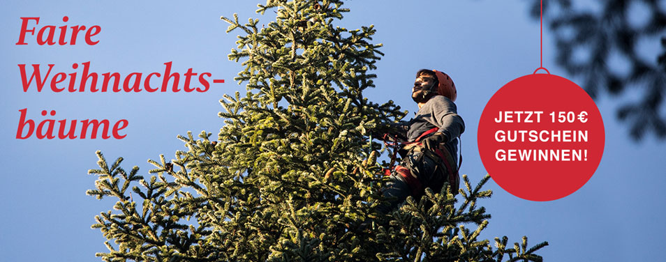 toom Gutschein Baumarkt gewinnen Gewinnspiel faire Weihnachtsbäume