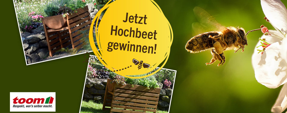 toom Gewinnspiel Bienenschutz Hochbeet gewinnen Bienen schützen
