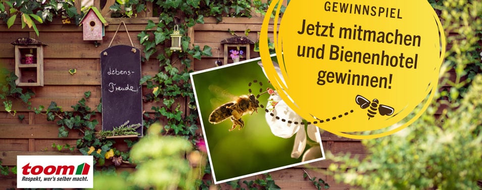 toom Bienenhotel gewinnen