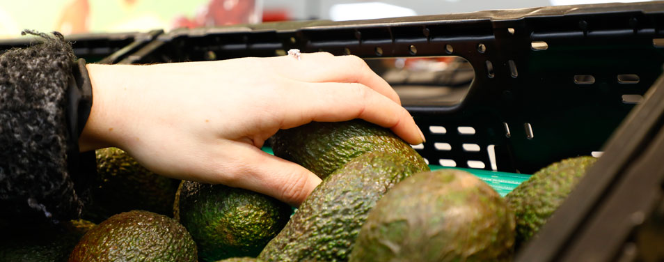 REWE Group Profil Nachhaltigkeit