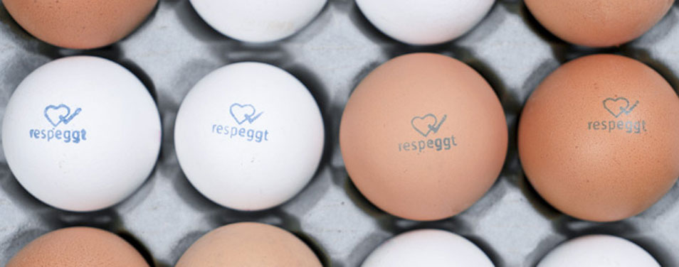 respeggt REWE PENNY Verfahren
