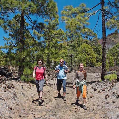 Wikinger Reisen Urlaub auf Teneriffa gewinnen