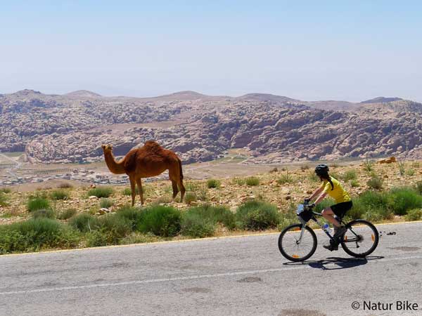 Wikinger Reisen Jordanien Urlaub Gewinnspiel