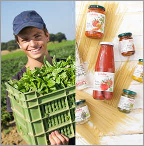 vegane Produkte zum internationalen vegan Tag gewinnen World vegan Day