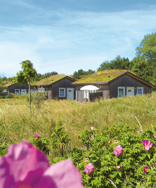 bookitgreen: #samebutgreen Urlaub machen