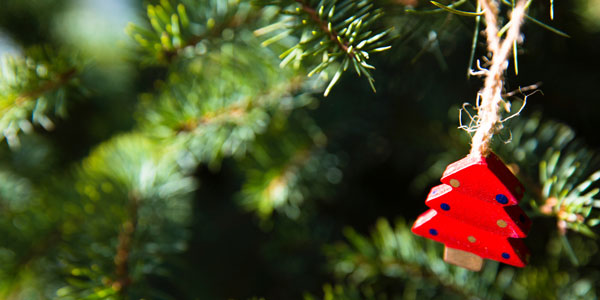 weihnachtsbaum und die wichtigkeit von nachhaltigkeit