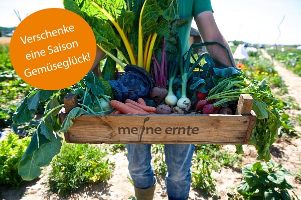 Gemüsegarten Weihnachtsgeschenk meine ernte