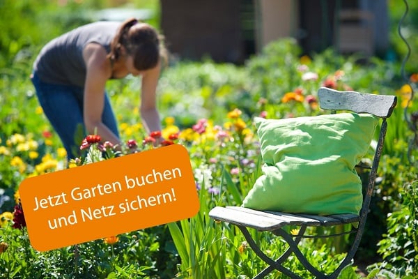 meine ernte: jetzt Buchen und Netz sichern
