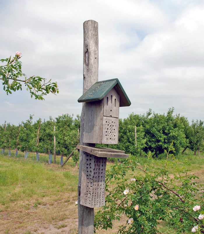 Insektenhotel auf der Pro Planet Apfelplantage