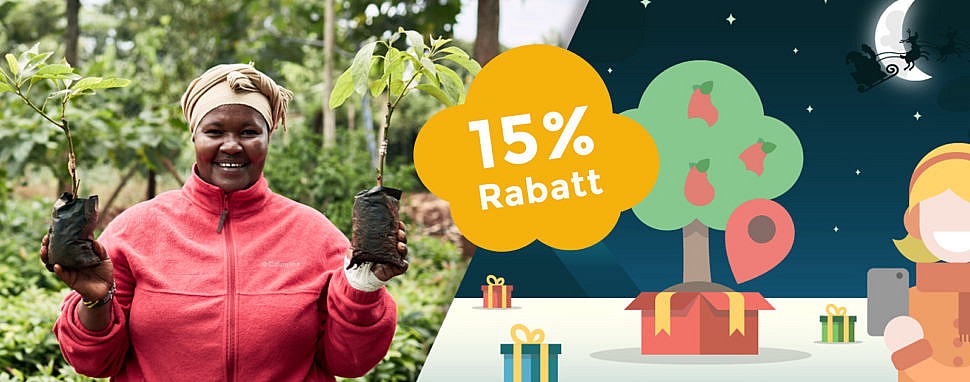 Merry Treesmas! Verschenke einen Weihnachtsbaum, der Wurzeln schlägt. Treedom sinnvolles Weihnachtsgeschenk Baum schenken CO2