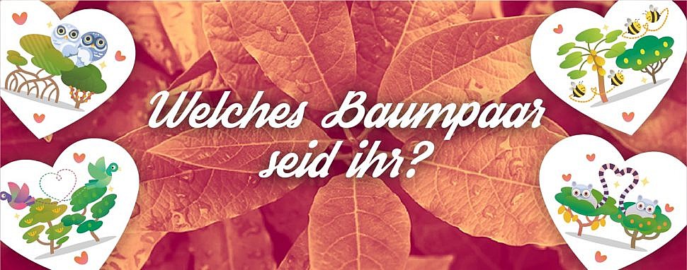 Grüne Alternative zur roten Rose: Baumpaar verschenken zum Valentinstag! Treedom Valentinstag Geschenkidee mit Rabatt Bäume pflanzen Liebe