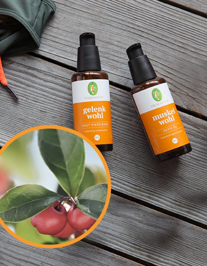 PRIMAVERA Geschenk sichern & neue Produkte entdecken