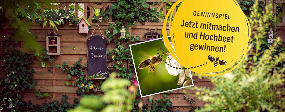 Ein Bienenparadies für dein Zuhause: Gewinne ein Hochbeet mit toom! toom gewinnspiel hochbeet gewinnen bienenschutz bienenfreundliche Pflanzen