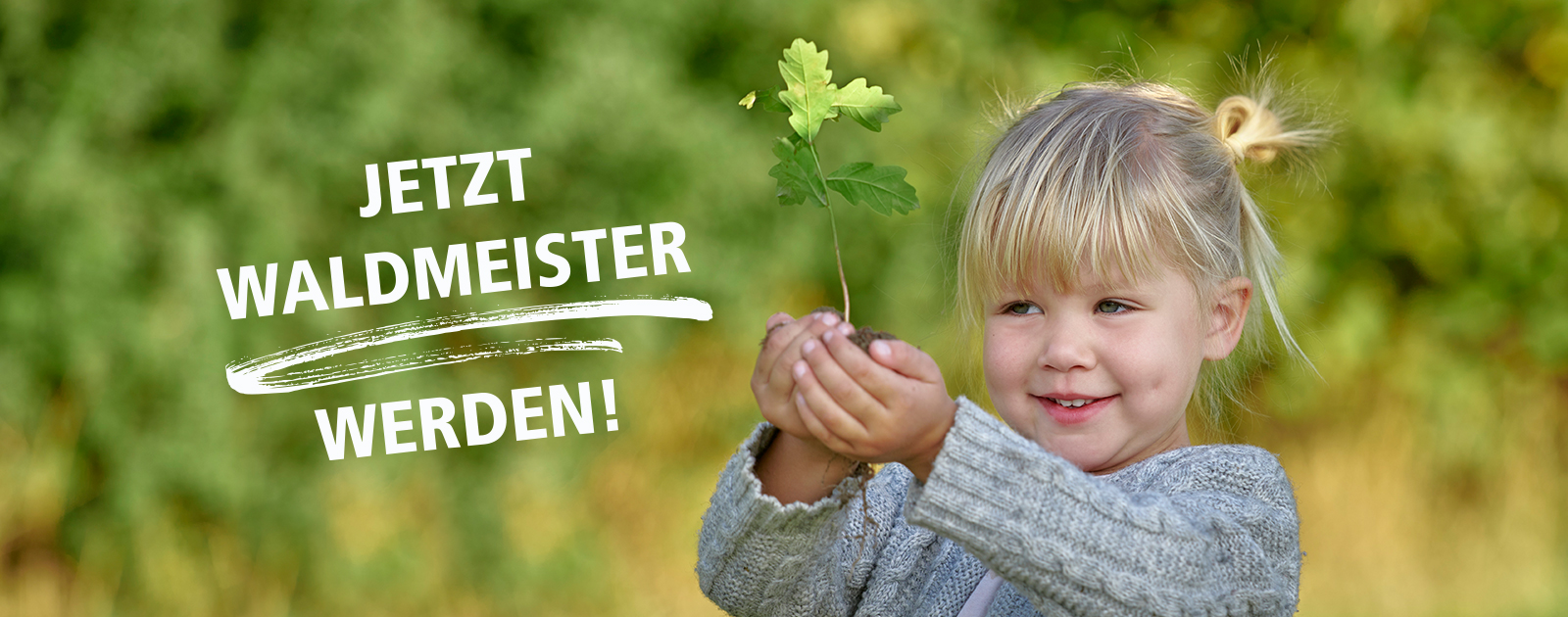 Versicherer im Raum der Kirchen Jetzt wechseln & Waldmeister werden!