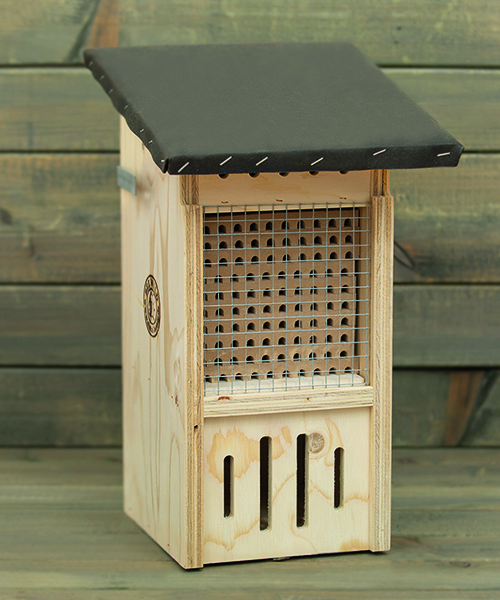Barnhouse Wildbienen Aktion Gewinnspiel Krunchy