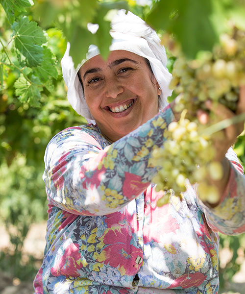 Rapunzel Naturkost, Türkei-Projekt, Weintrauben, Trockenfrüchte