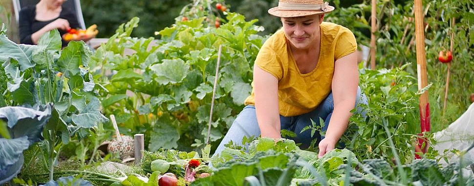Mietgärten, Bio-Saatgut und cleveres Zubehör für Anbau und Küche meine ernte - Gemüse selbst anbauen