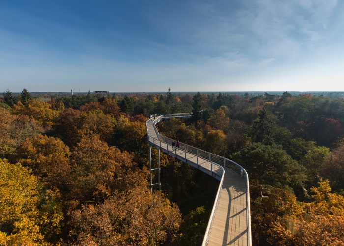 Tourismus Marketing Brandenburg Baumkronenpfad