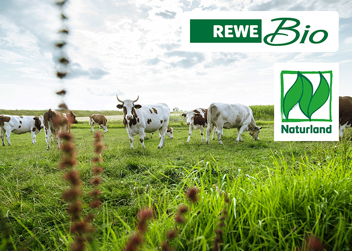 rewe bio tierwohl milchkühe naturland weide gras