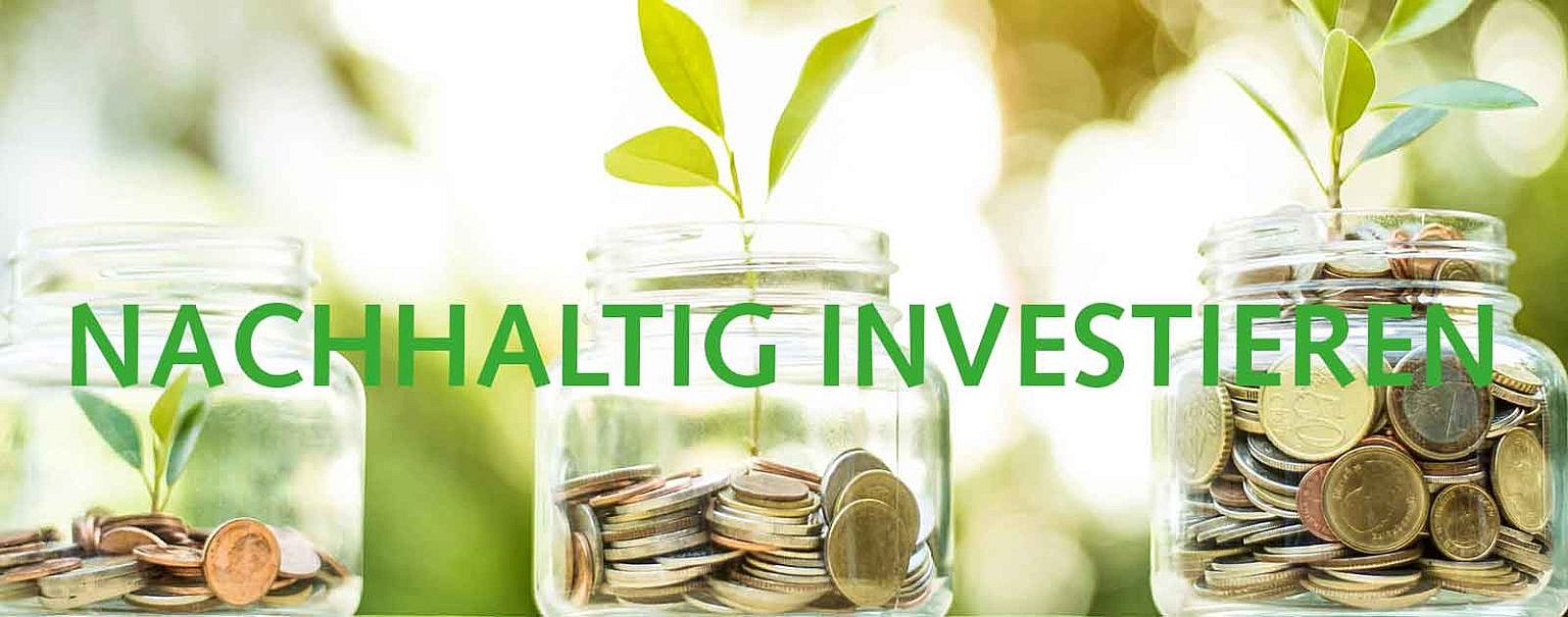Entdecke nachhaltige Investitionsprojekte & gewinne jetzt mit Fairzinsung!