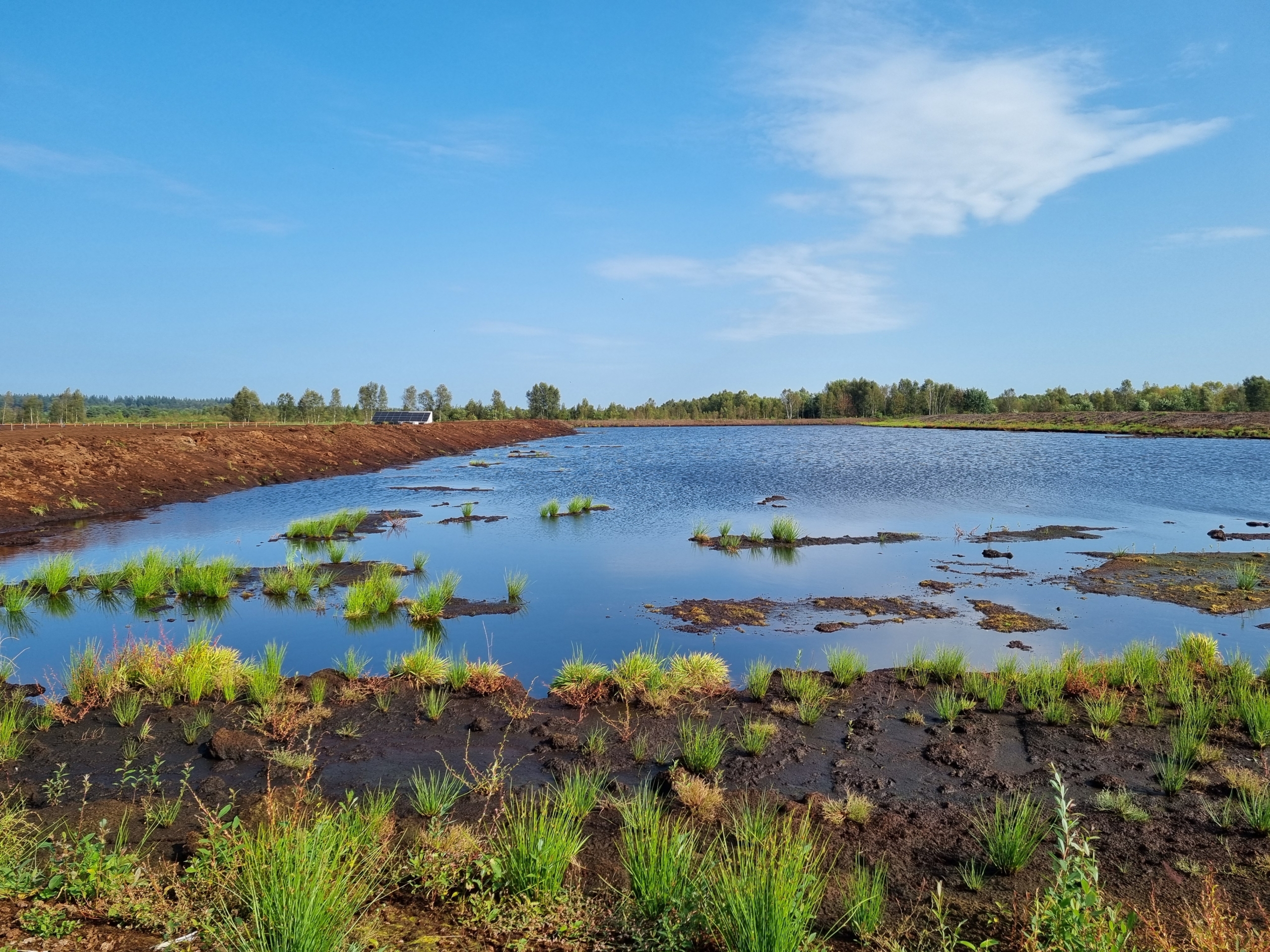 Blick auf den Wasserspeicher im Ahlen-Falkenberger Moor im Kreis Cuxhaven, das der NABU und REWE mit Mitteln aus dem NABU-Klimafonds renaturieren.