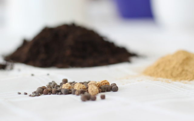 Seed Bombs basteln