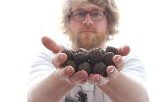 Seed Bombs basteln