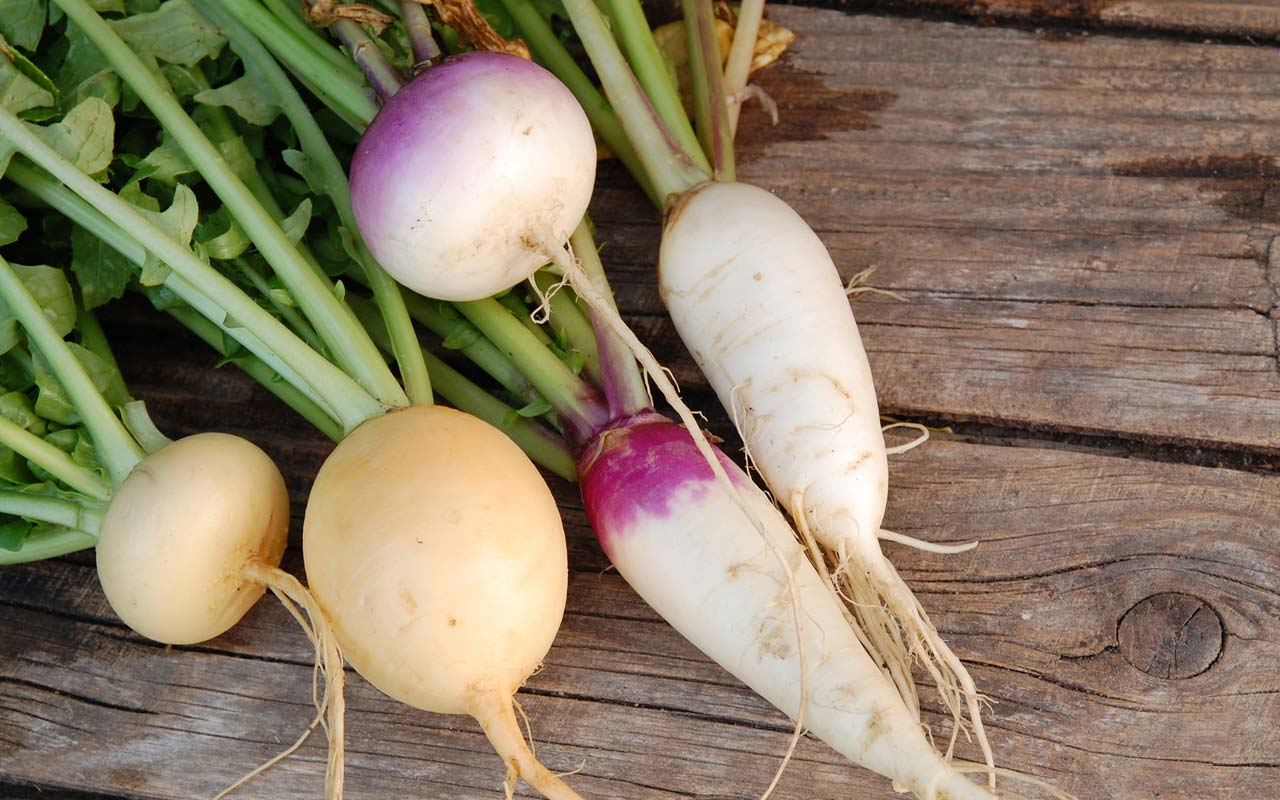 Vielfalt bewahren: Diese 7 alten Gemüsesorten solltest du kennen ...